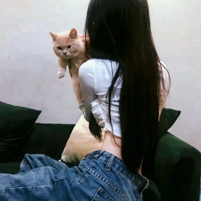 黑羊